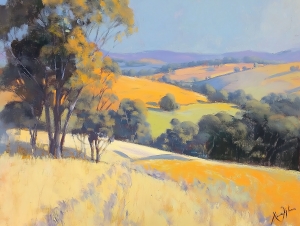 Une journ&eacute;e d'&eacute;t&eacute; &agrave; la campagne