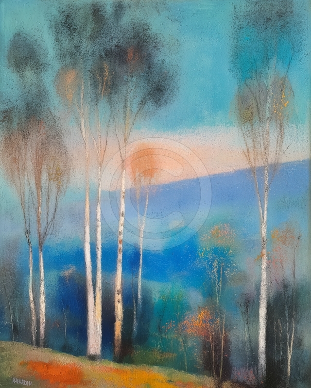 Misty Forest Landscape