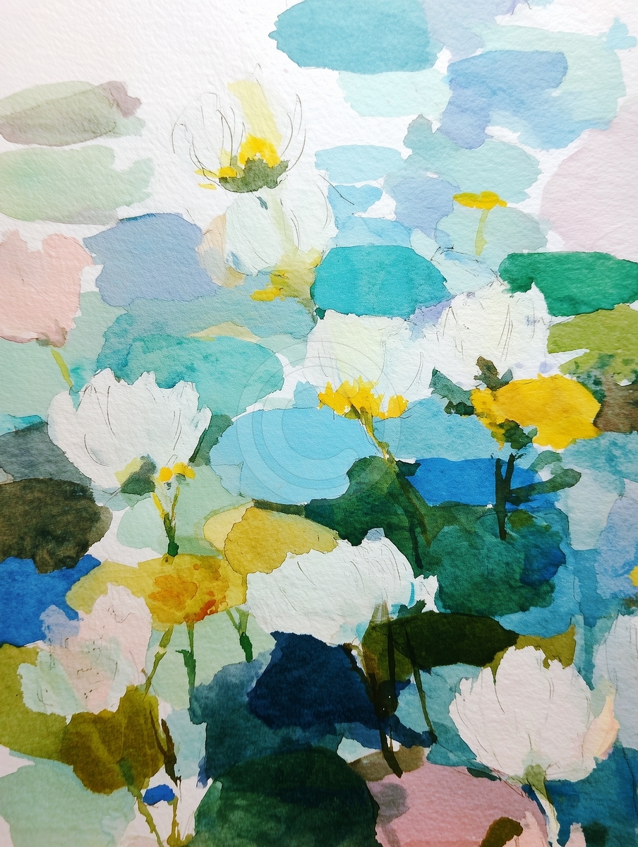 Water Lilies