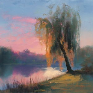Salice al tramonto